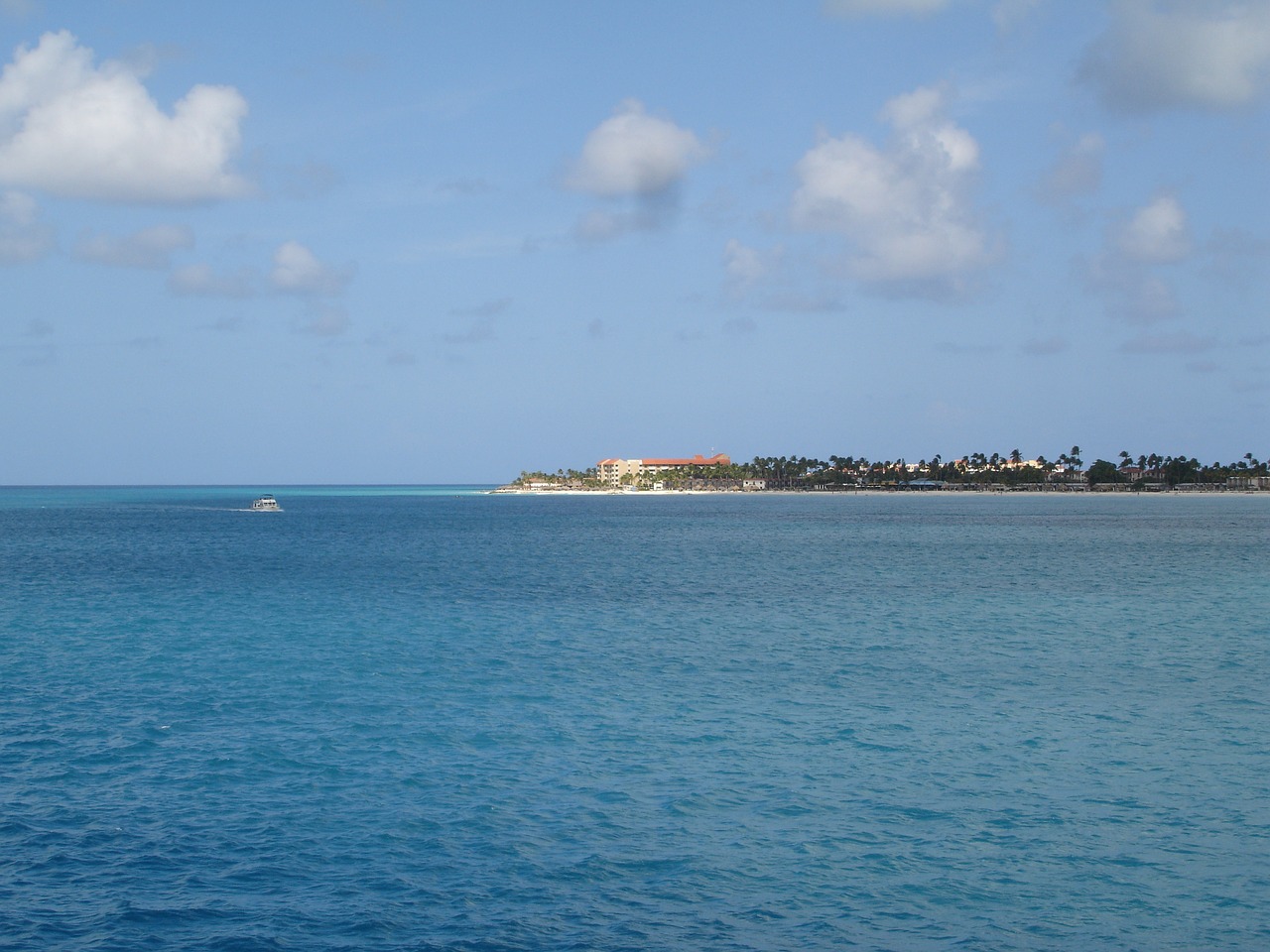 Aruba, Sala, Arubos Sala, Oranjestad, Paplūdimys, Caribs, Karibų Jūra, Karibų Salos, Rojus, Rojaus Sala