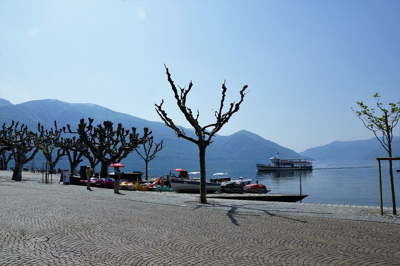 Ascona,  Plėvelės,  Festivalis,  Ežeras,  Lago Maggiore,  Vandens,  Gulbė,  Paukštis,  Kalnai,  Šveicarija