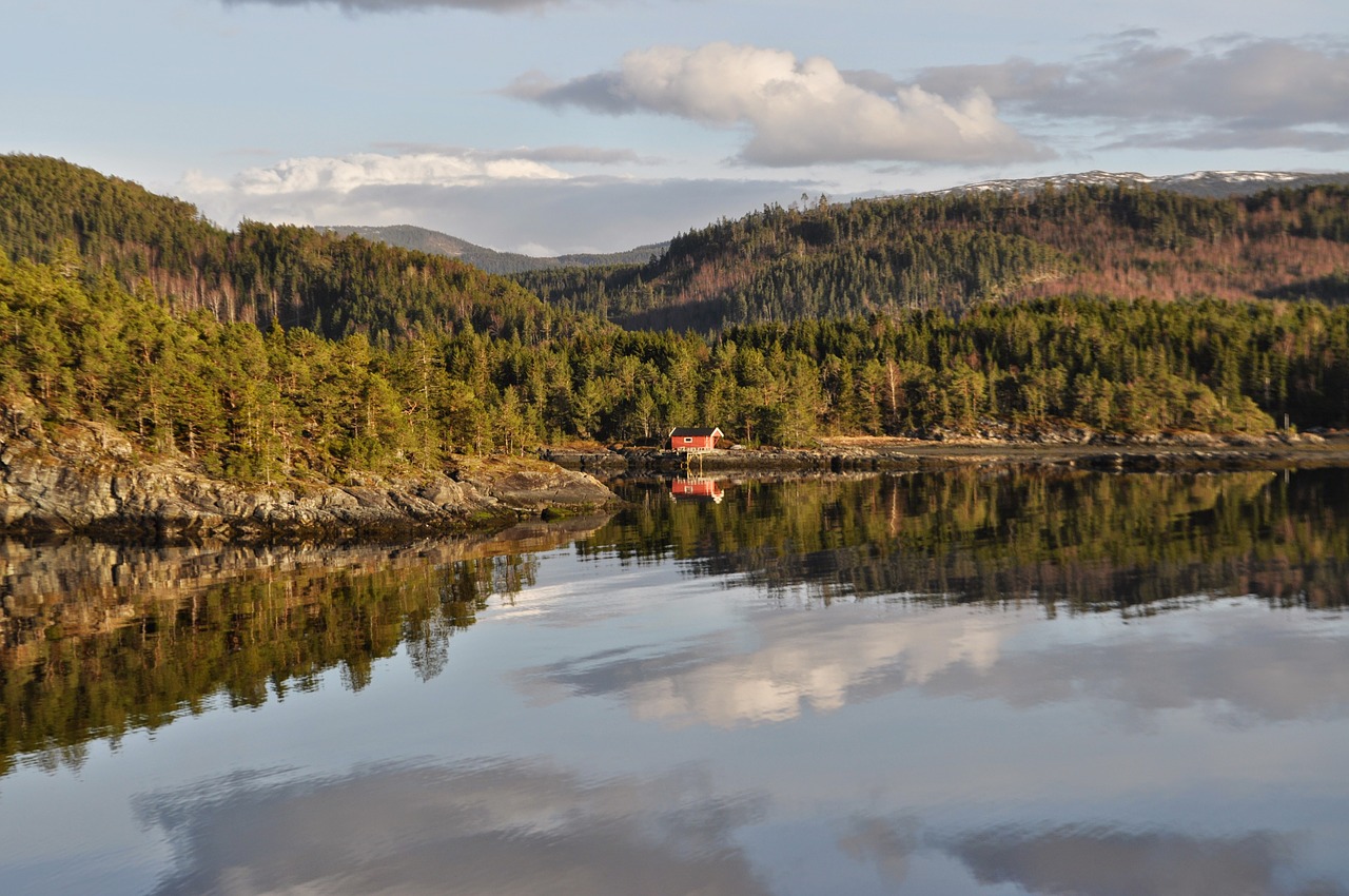 Åsenfjord, Norvegija, Trondheimas, Fjordas, Kraštovaizdis, Gamta, Skandinavija, Miškas, Atspindys, Nemokamos Nuotraukos