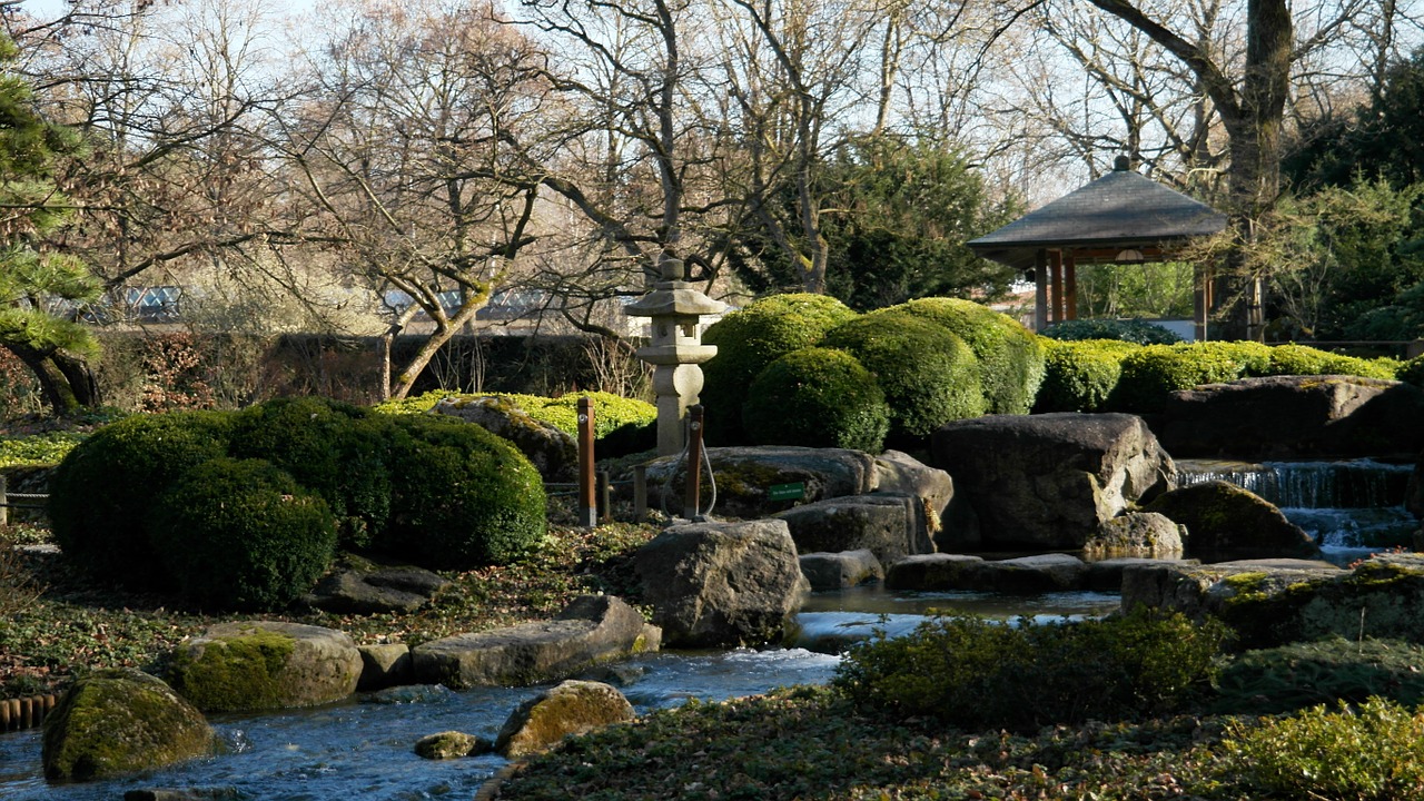 Asian, Gamta, Japanese, Japoniškas Sodas, Augalas, Tradicinis, Harmonija, Įterptas, Žalias, Nemokamos Nuotraukos