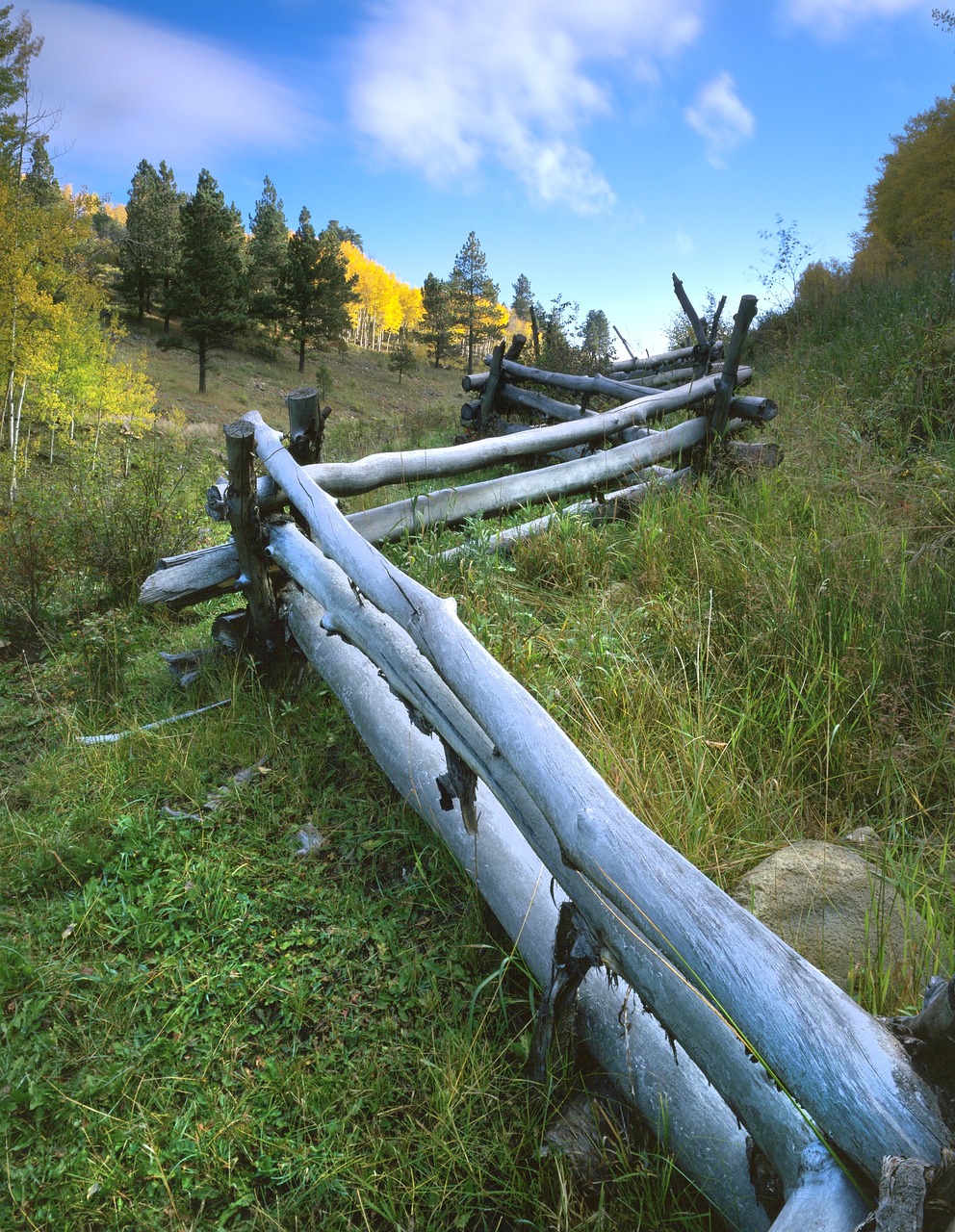 Aspen, Tvora, Kritimas, Kraštovaizdis, Colorado, Peizažas, Miškai, Kalnas, Nemokamos Nuotraukos,  Nemokama Licenzija