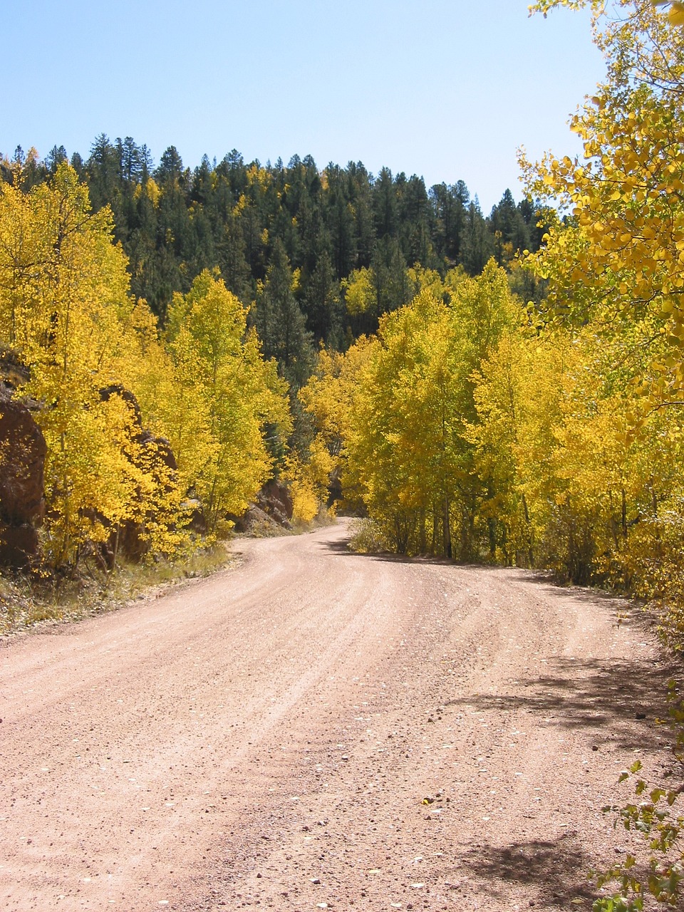 Aspen, Colorado, Miškas, Medis, Ruduo, Kalnas, Geltona, Uolingas, Peizažas, Auksinis