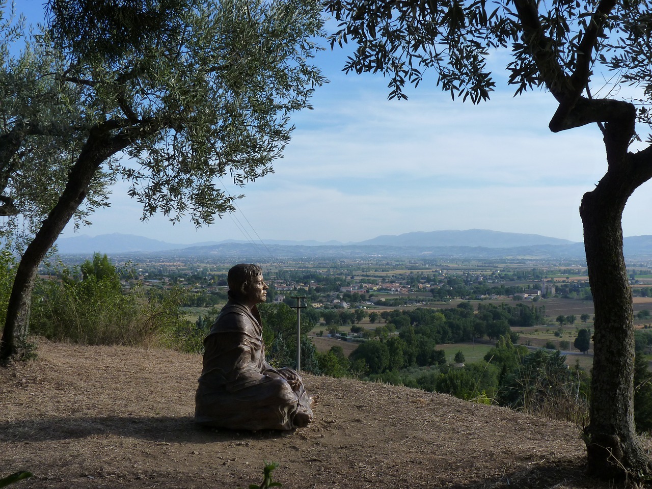 Assisi, Italy, Statula, Alyvmedis, Kraštovaizdis, Vaizdas, Nemokamos Nuotraukos,  Nemokama Licenzija