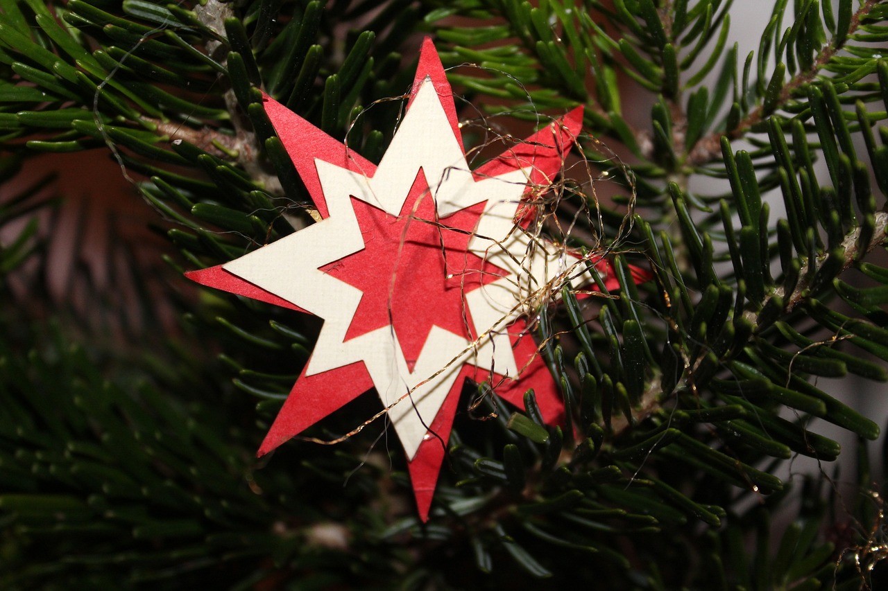 Žvaigždutė, Ceremonija, Medis, Kalėdos, Žiema, Ornamentas, Atostogos, Apdaila, Kalėdų Papuošalai, Šakelės