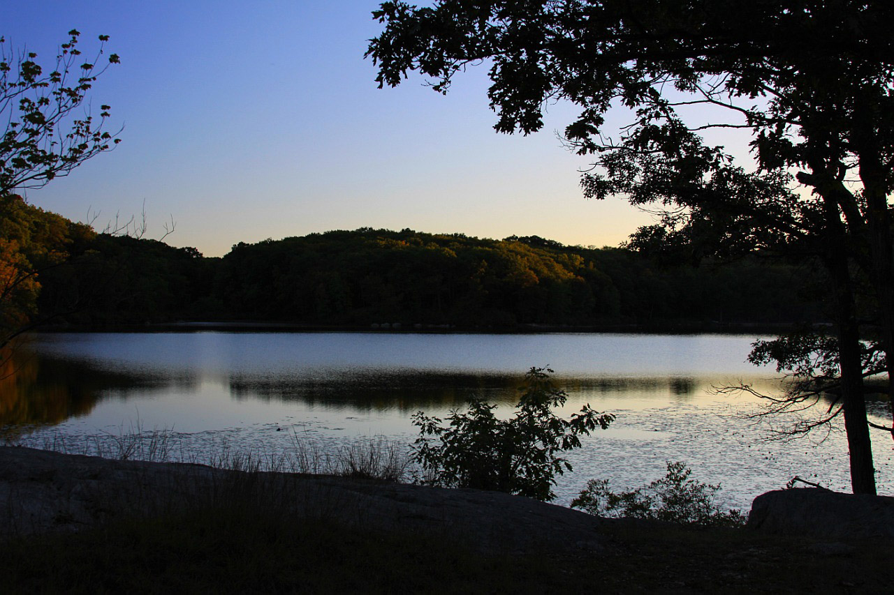 Vakaras,  Dusk,  Medis,  Ežeras,  Miškai,  Miškas,  Paviršius,  Parkas,  Naujas,  York