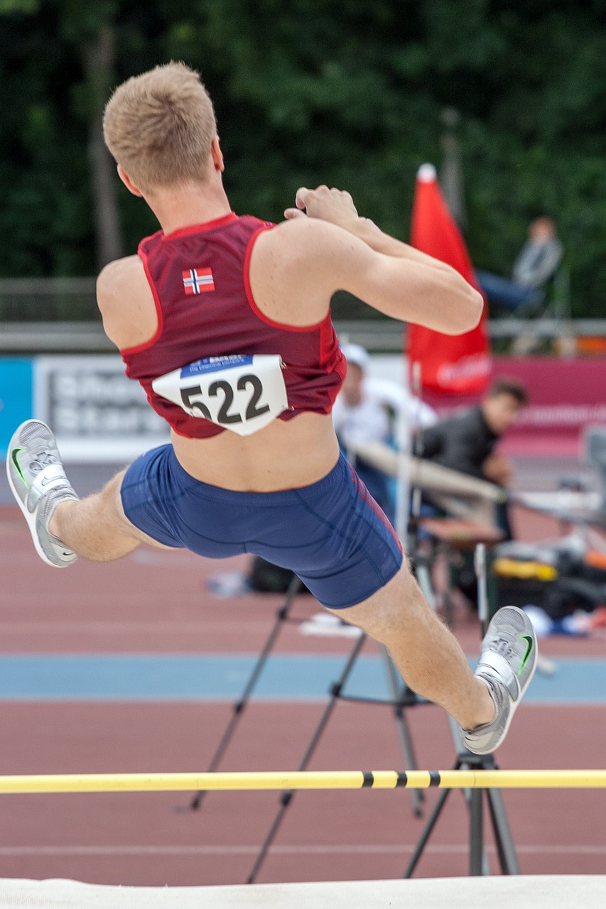 Lengvoji Atletika, Pole Vault, Sportas, Junior Gala Manheimas, Nemokamos Nuotraukos,  Nemokama Licenzija