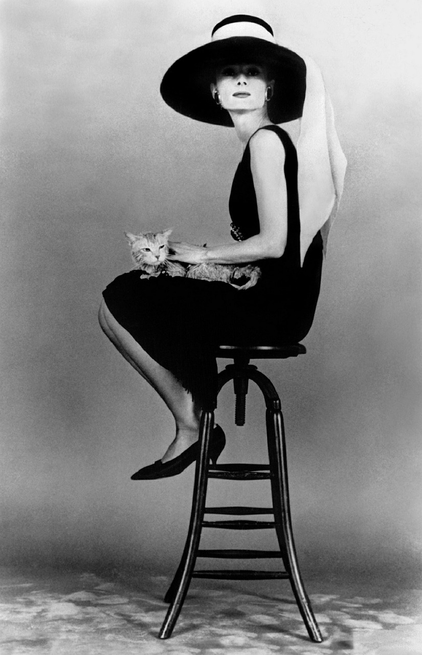 Audrey Hepburn, Aktorė, Vintage, Filmai, Kino Filmai, Žvaigždė, Garsenybė, Klasika, Nostalgija, Nuotraukos