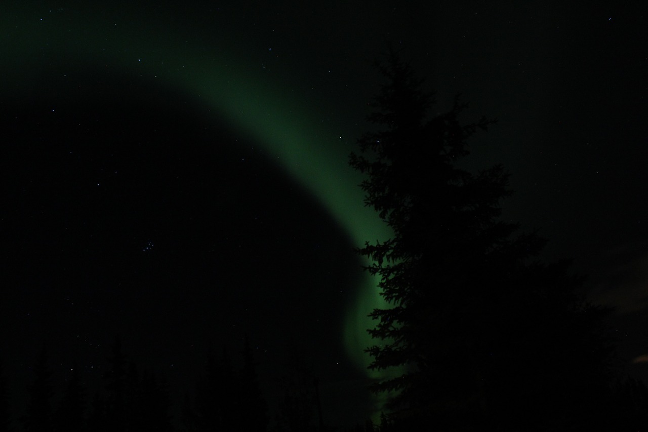 Aurora, Šiaurės Pašvaistė, Alaska, Nemokamos Nuotraukos,  Nemokama Licenzija