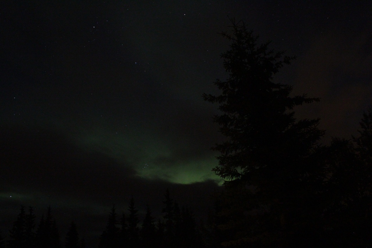 Aurora, Šiaurės Pašvaistė, Alaska, Nemokamos Nuotraukos,  Nemokama Licenzija