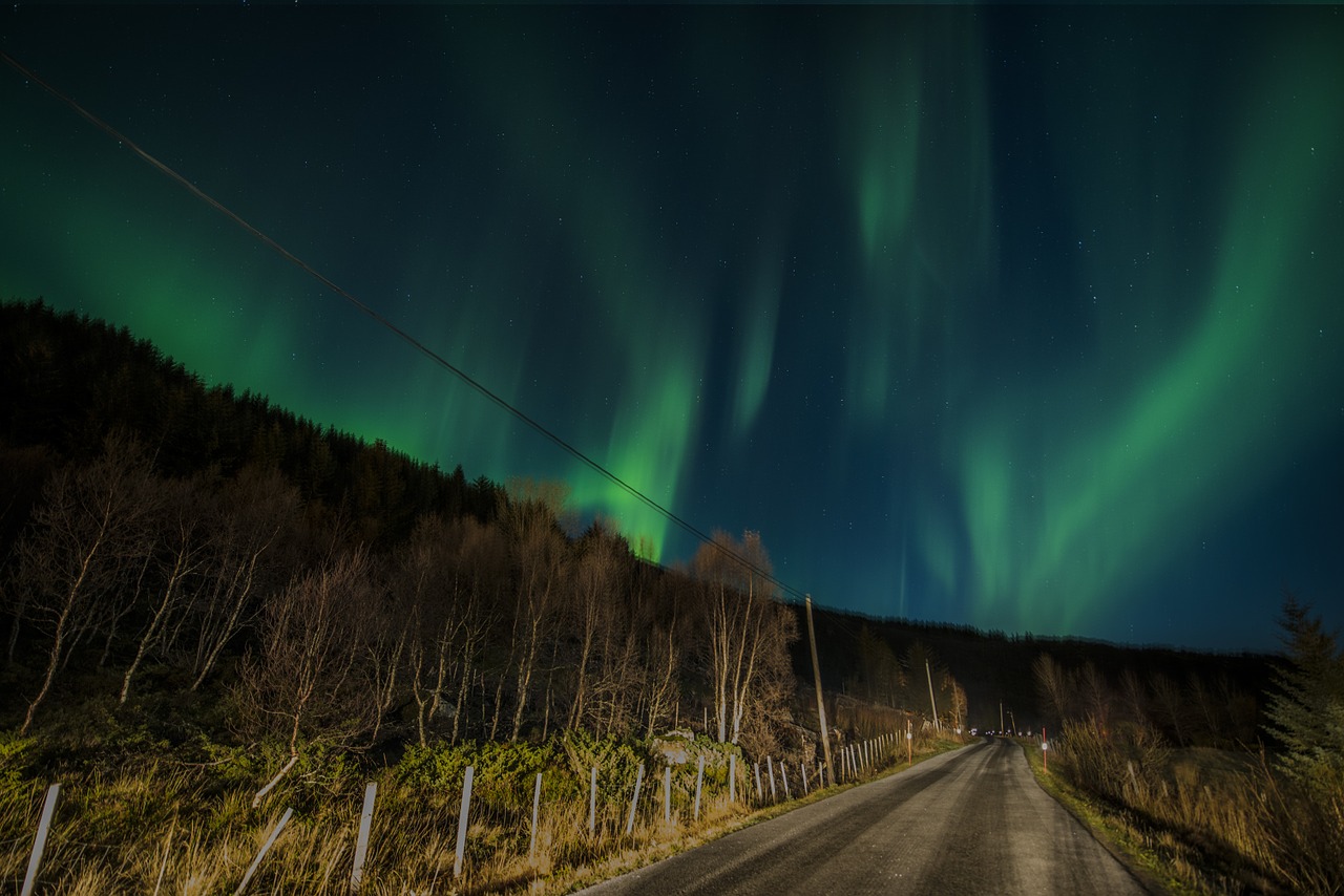 Aurora Borealis, Lofoten, Norvegija, Naktis, Žalias, Dangus, Mėlynas, Nemokamos Nuotraukos,  Nemokama Licenzija