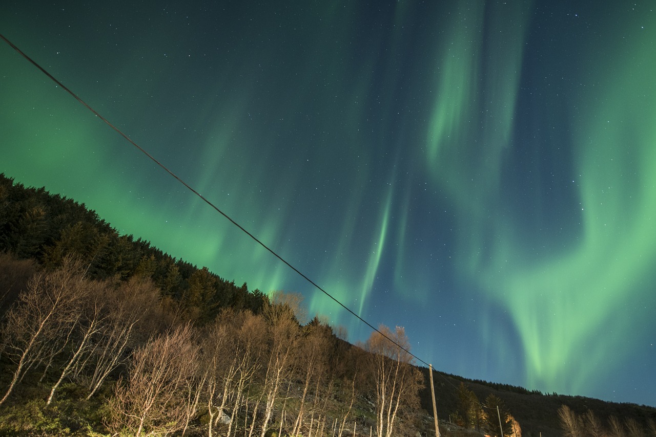 Aurora Borealis, Lofoten, Norvegija, Naktis, Žalias, Dangus, Mėlynas, Nemokamos Nuotraukos,  Nemokama Licenzija