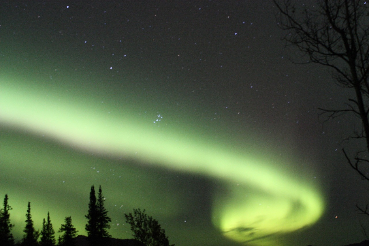 Aurora Borealis, Šiaurės Pašvaistė, Dangus, Naktis, Kraštovaizdis, Gamta, Tamsi, Spalvinga, Šviesus, Medžiai