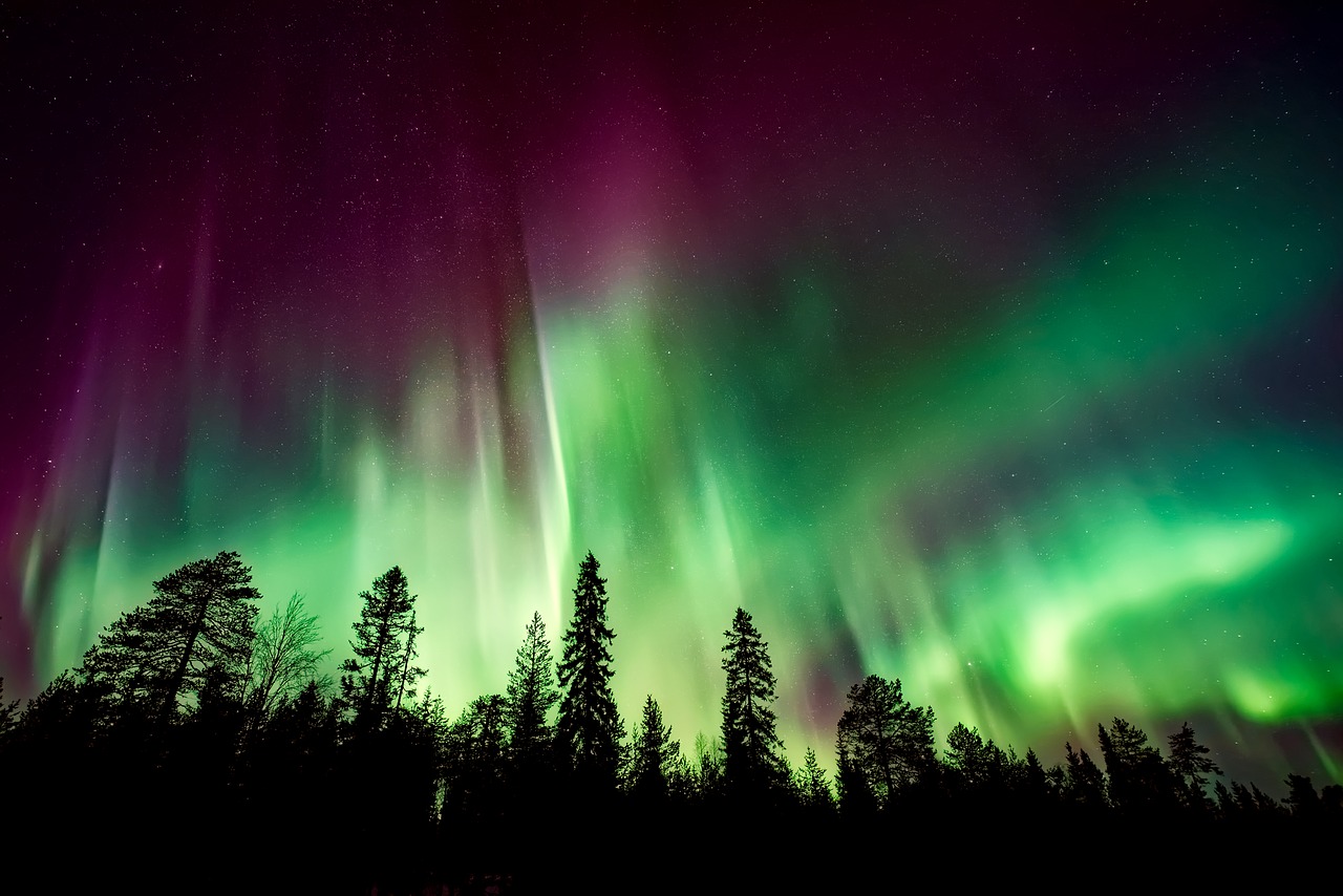 Aurora Borealis, Šiaurės Pašvaistė, Miškas, Medžiai, Miškai, Siluetai, Kraštovaizdis, Naktis, Vakaras, Dangus
