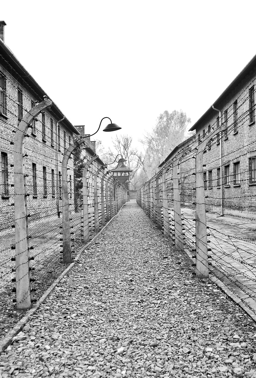 Auschwitz, Stovykla, Holokaustas, Koncentracija, Lenkija, Istorija, Karas, Viela, Mirtis, Kalėjimas