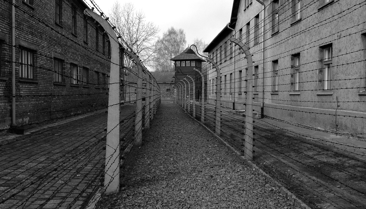 Auschwitz, Stovykla, Koncentracijos Stovykla, Istorija, Muziejus, Nemokamos Nuotraukos,  Nemokama Licenzija