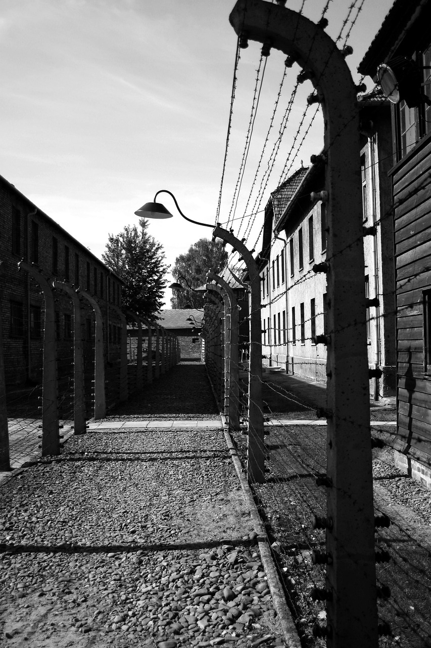 Auschwitz, Perimetro Tvora, Koridorius, Elektrifikuota Spygliuota Viela, Lenkija, Osviecim, Nemokamos Nuotraukos,  Nemokama Licenzija
