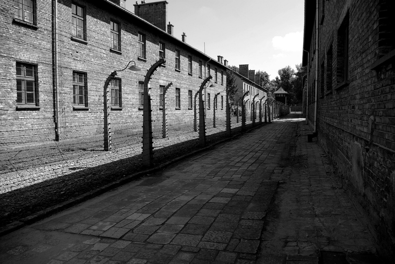 Auschwitz-Birkenau, Koncentracijos Stovykla, Nacizmas, Nusikalstamumas, Hitleris, Auschwitz, Birkenau, Koncentracija, Stovykla, Europa
