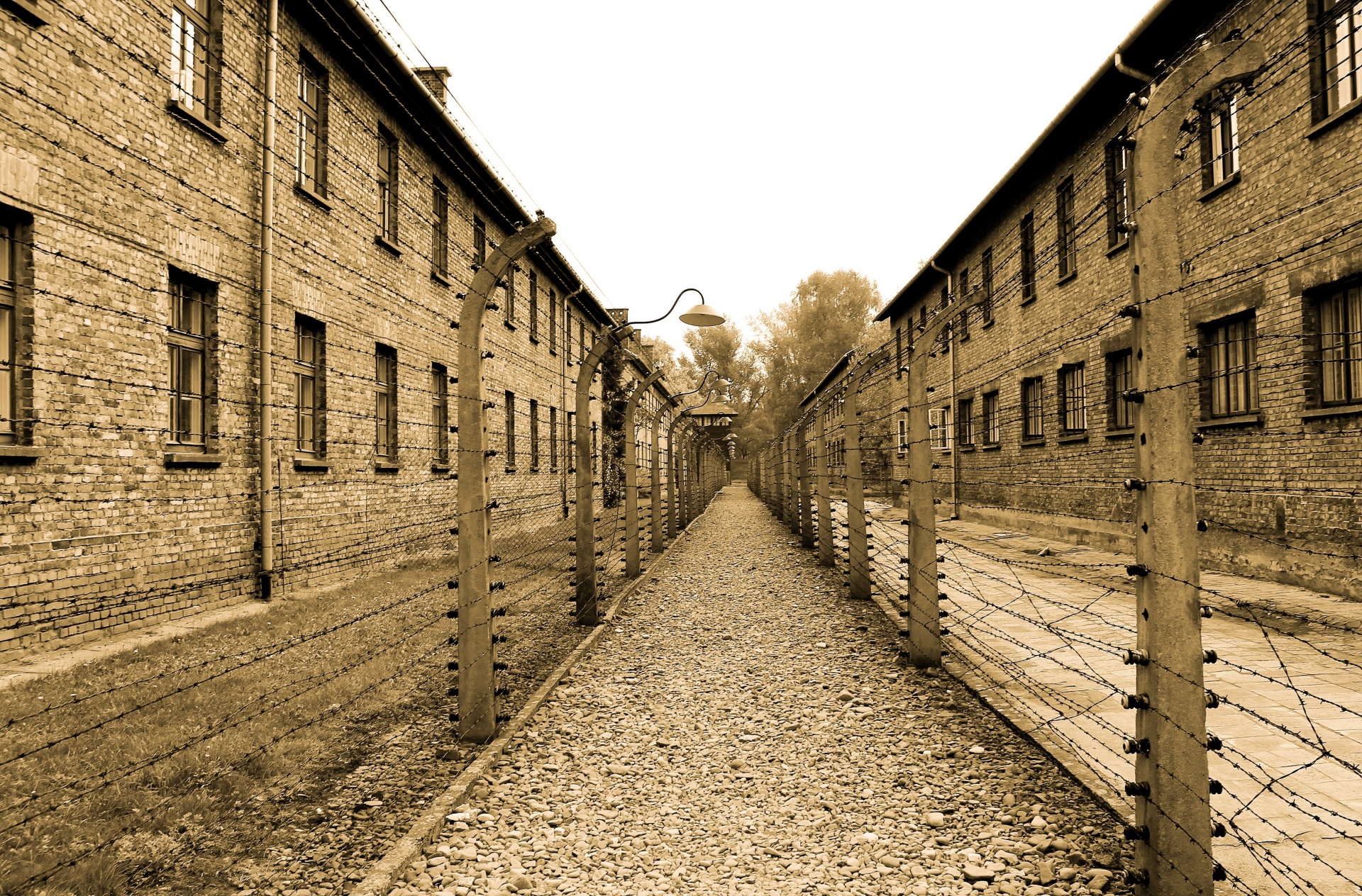 Auschwitz,  Naikinimas,  Stovykla,  Alėja,  Koncentracija,  Darbo,  Mirtis,  Miręs,  Muziejus,  Auschwitz Mirties Stovykla