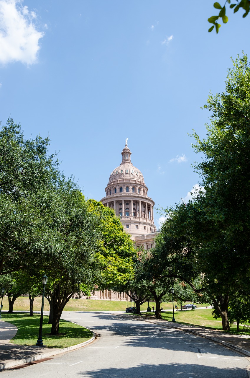 Austin, Texas, Usa, Capitol, Amerikietis, Texas Valstijos Kapitonas, Medžiai, Jungtinės Valstijos, Centro, Kapitalas