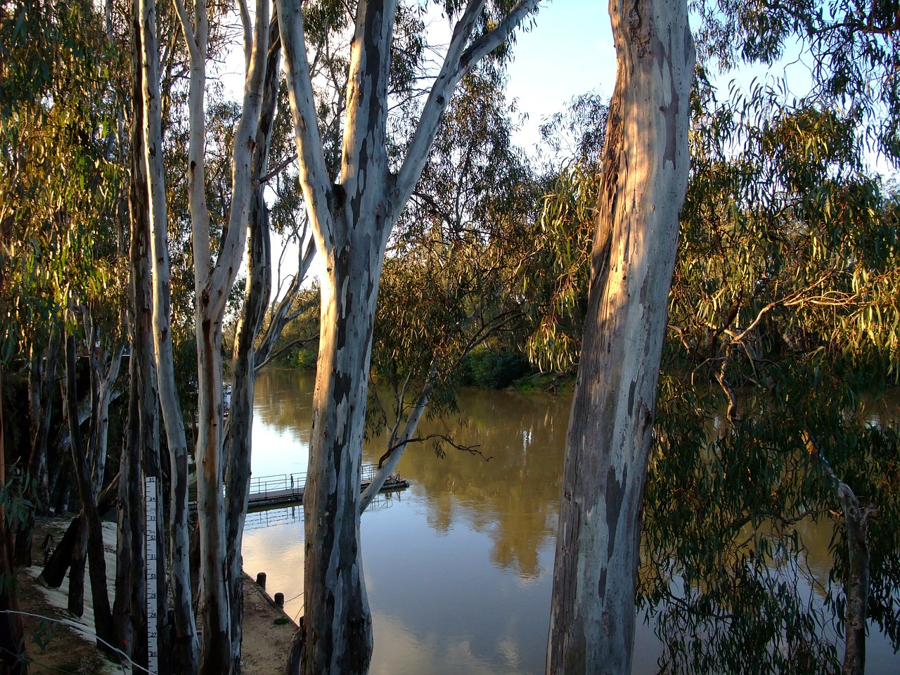 Australia, Upė Yarra, Melburnas, Echuca, Upė, Vanduo, Nemokamos Nuotraukos,  Nemokama Licenzija