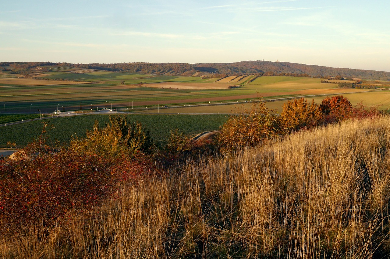 Austria, Königswarte, Laukai, Šalis, Ruduo, Nemokamos Nuotraukos,  Nemokama Licenzija