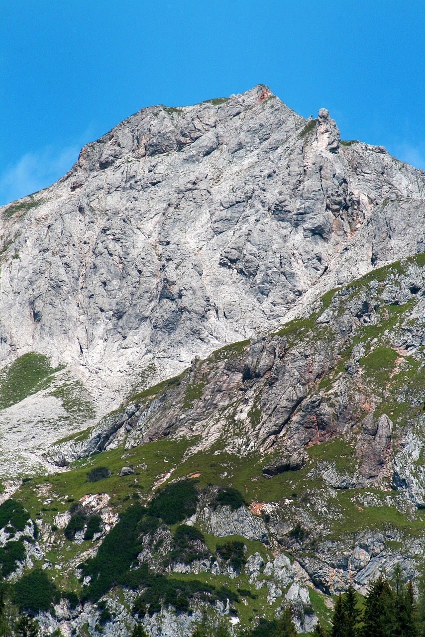 Austria, Kalnas, Alpės, Kalnai, Poilsis, Gamta, Alpinizmas, Pušis, Medžiai, Žalias