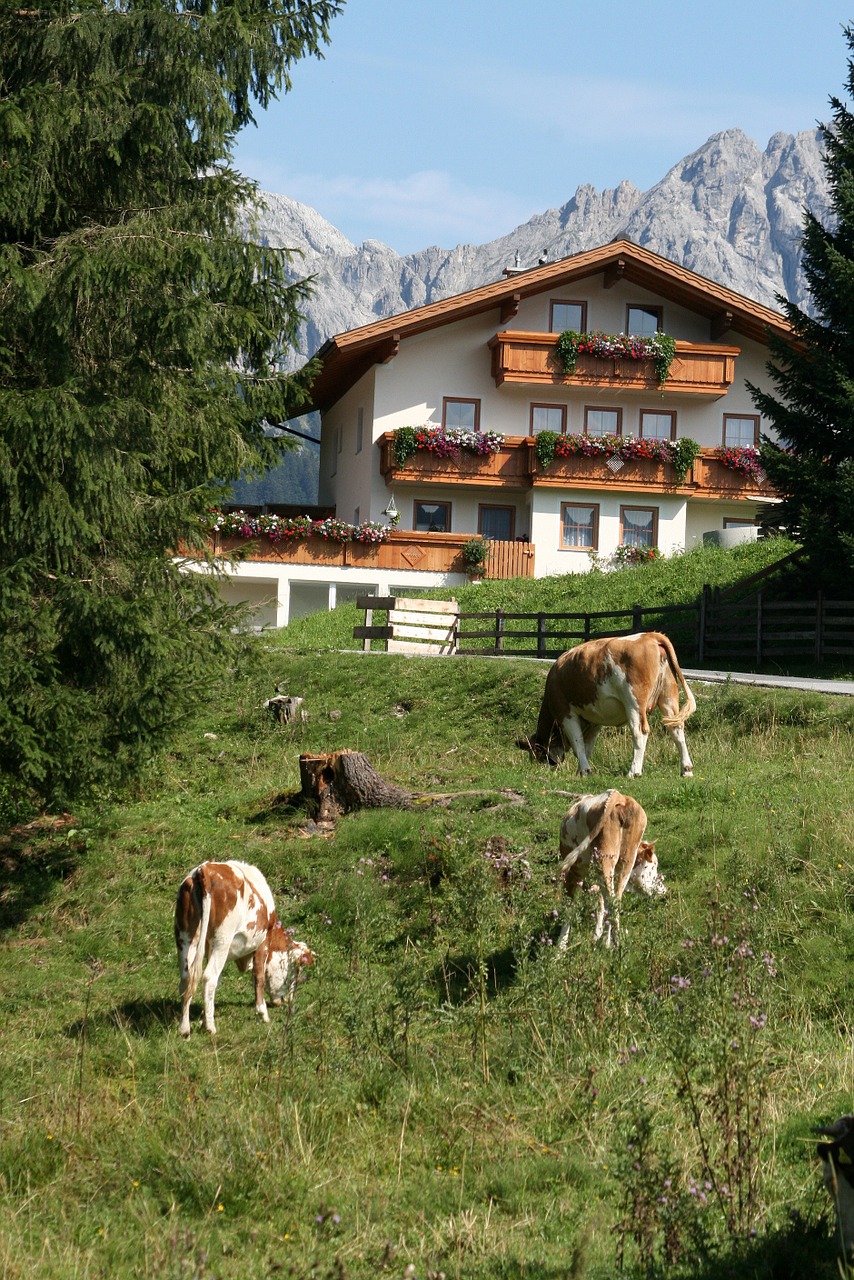 Austria, Alpės, Kalnas, Kalnai, Alpių Peizažas, Gamta, Ekskursija, Naršyti, Nemokamos Nuotraukos,  Nemokama Licenzija