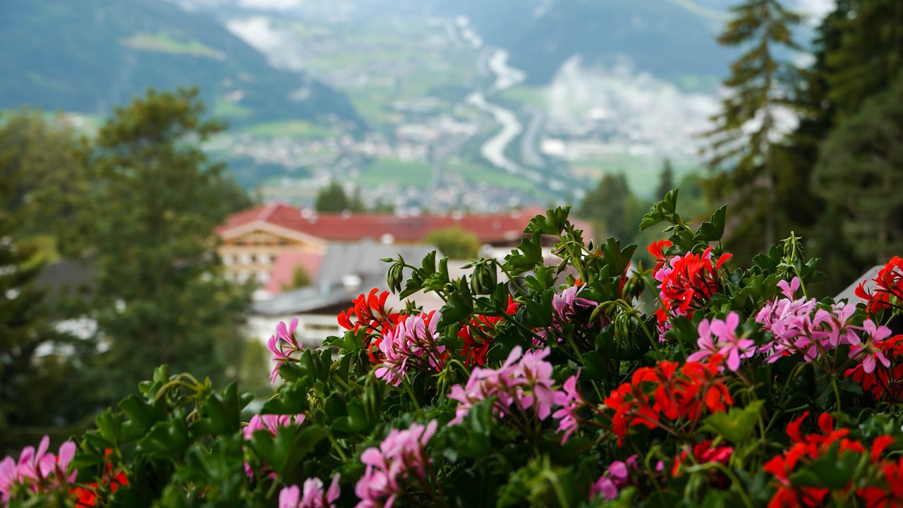 Austria, Kalnas, Gamta, Kraštovaizdis, Gėlės, Nemokamos Nuotraukos,  Nemokama Licenzija