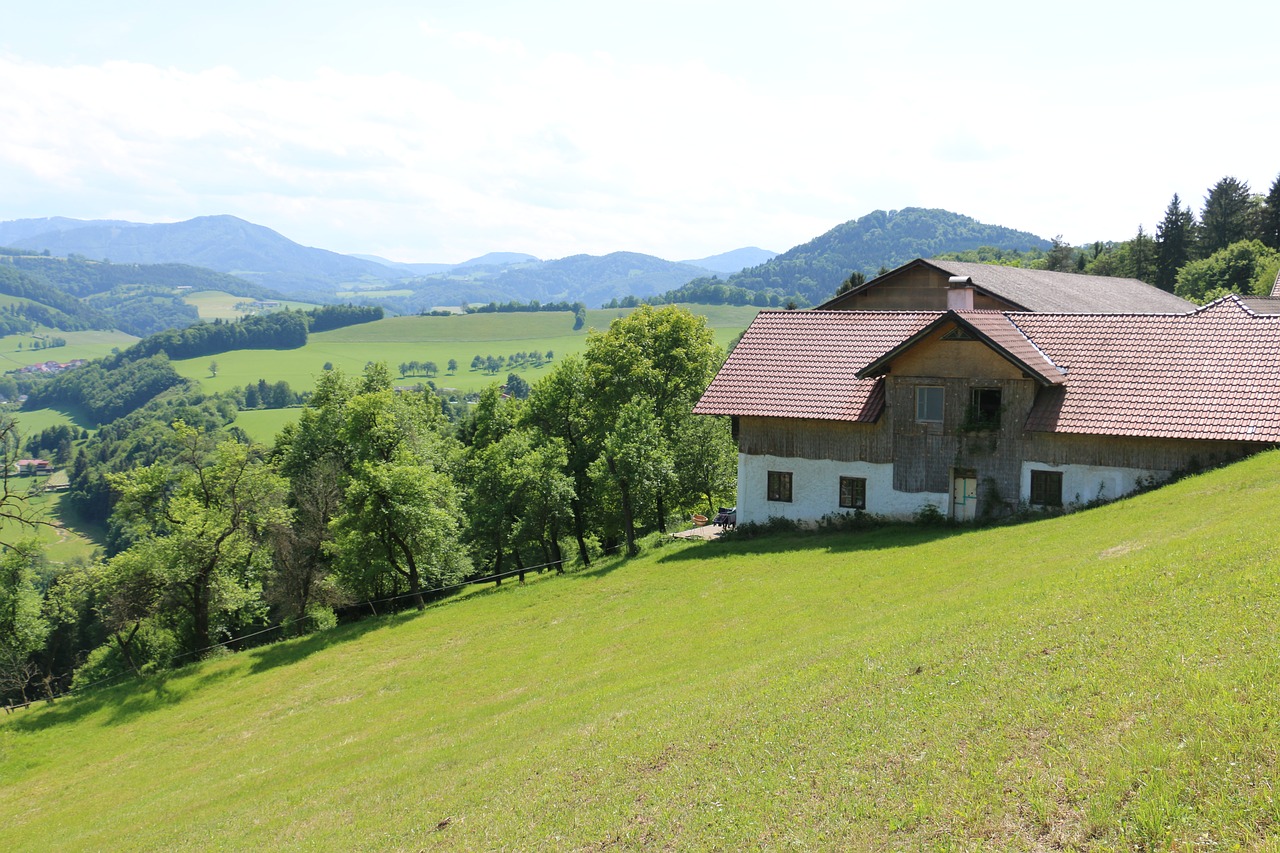 Austria, Kalnai, Alm, Dangus, Namelis, Vasara, Kalnų Namelis, Kraštovaizdis, Panorama, Alpių