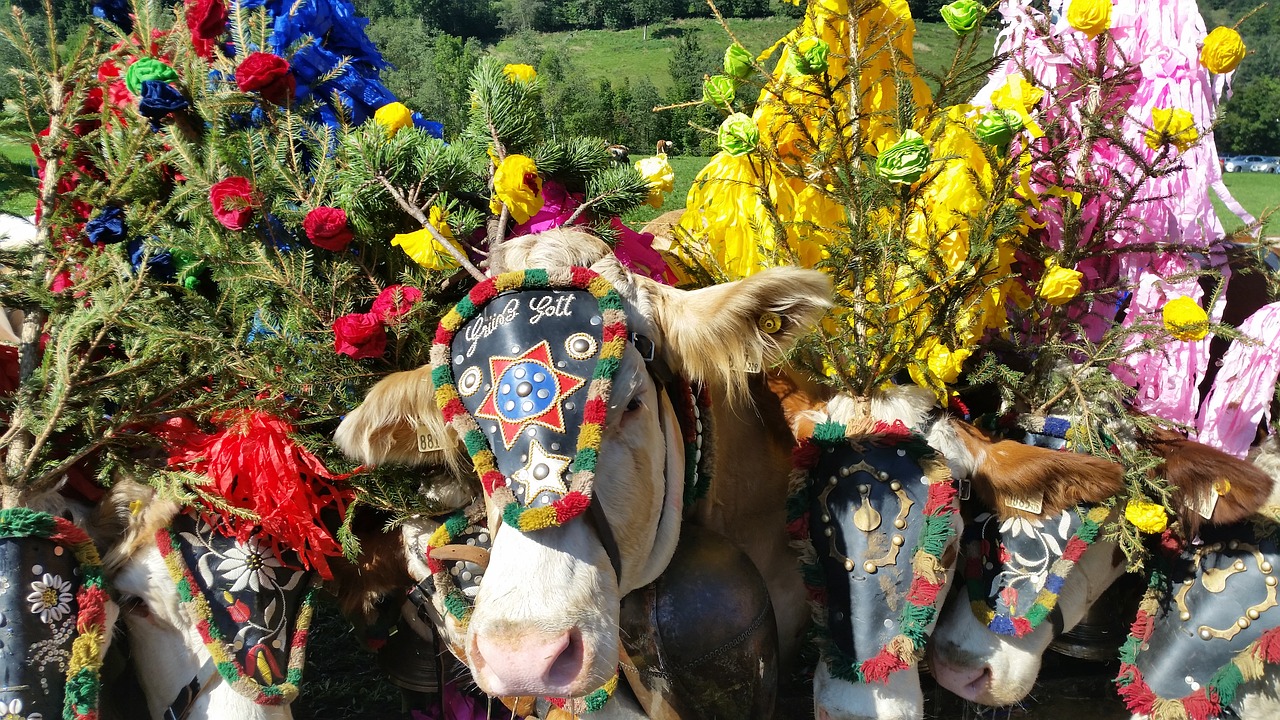 Austria, Tirol, Alpės, Karvės, Almabtrieb, Nemokamos Nuotraukos,  Nemokama Licenzija