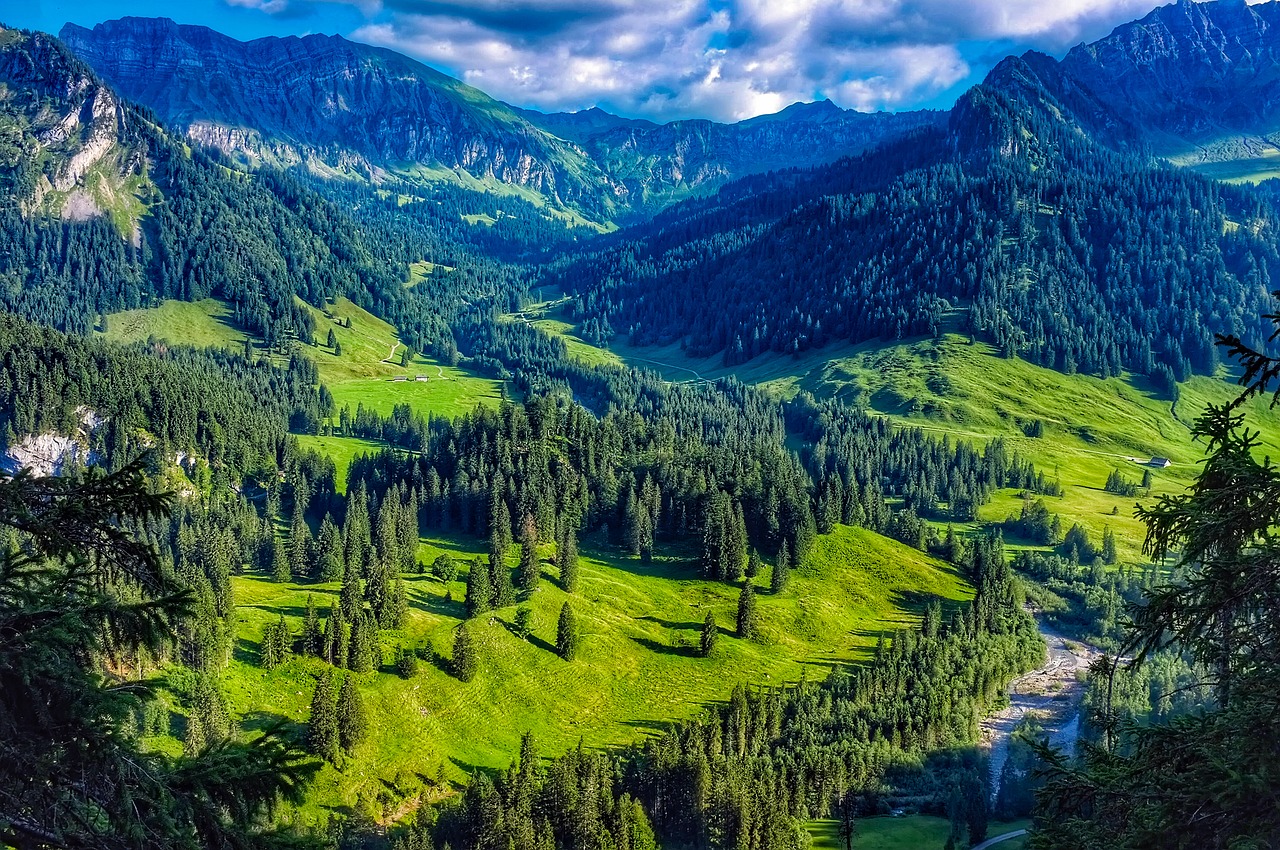 Austria, Kalnai, Kraštovaizdis, Vaizdingas, Srautas, Slėnis, Miškas, Medžiai, Miškai, Gamta