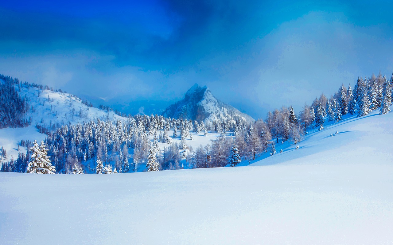 Austria, Žiema, Sniegas, Snowdrift, Miškas, Medžiai, Miškai, Kraštovaizdis, Kalnai, Gamta