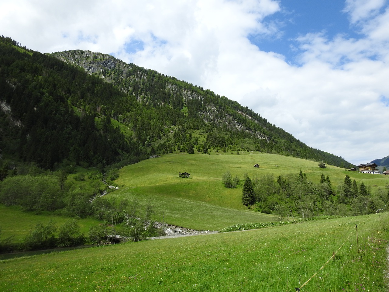 Austria, Kalnai, Pieva, Miškas, Gamta, Kraštovaizdis, Salzburg, Nemokamos Nuotraukos,  Nemokama Licenzija