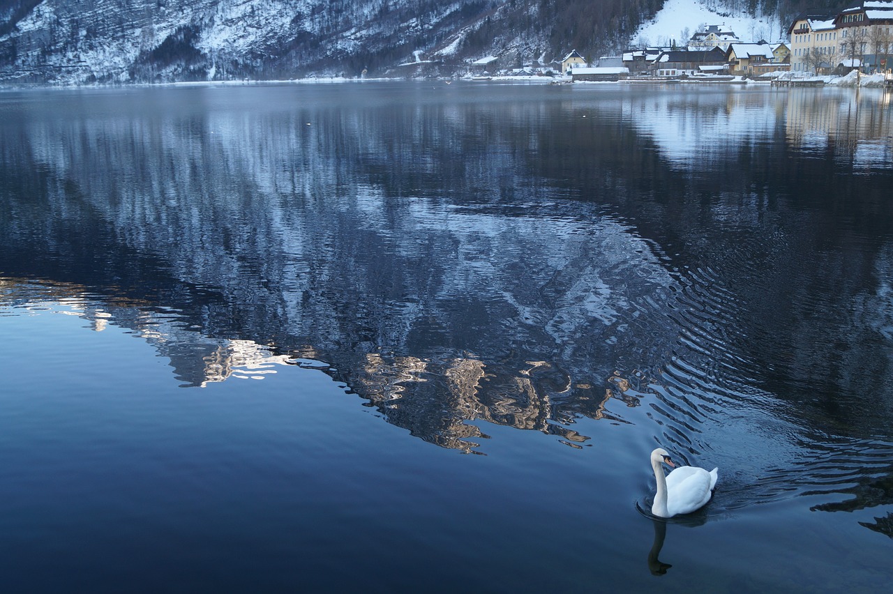 Austria, Hallstatt, Antis, Ežeras, Gamta, Riverside, Sniegas, Vanduo, Žiema, Sniego Kalnas