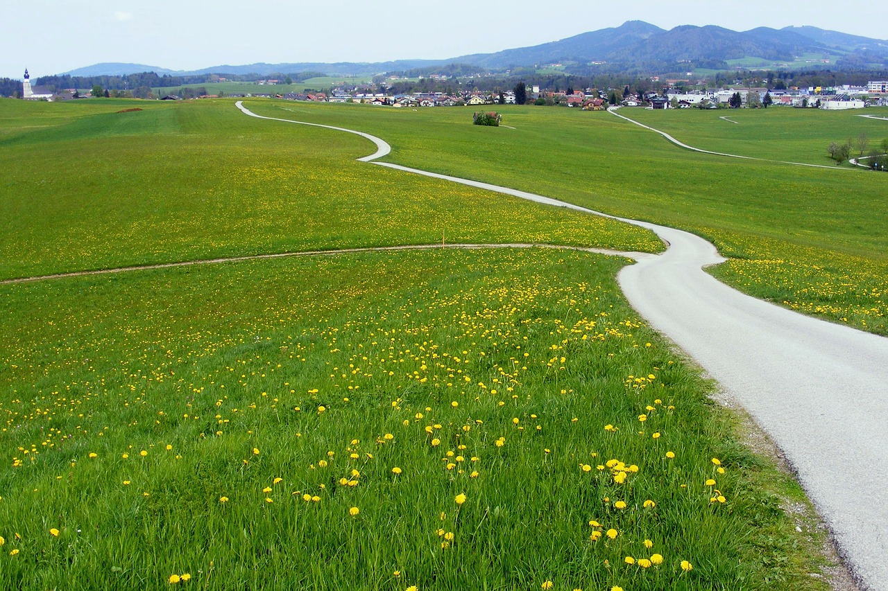 Austria, Salzburg, Kalnai, Kraštovaizdis, Vasara, Pavasaris, Kelias, Žolė, Laukai, Pievos