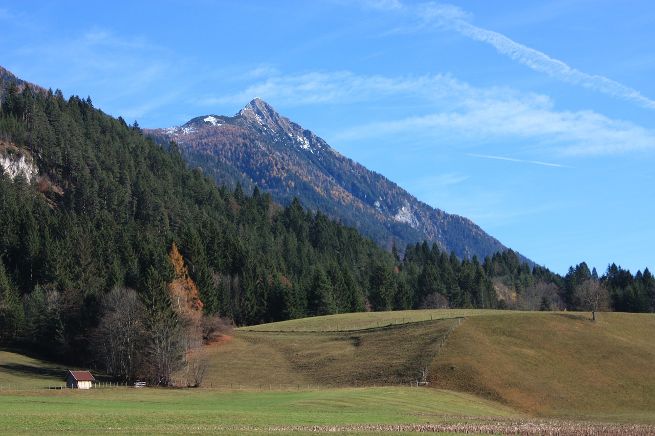Austria, Kraštovaizdis, Kalnai, Miškas, Medžiai, Sniegas, Miškai, Slėnis, Žolė, Uraganas