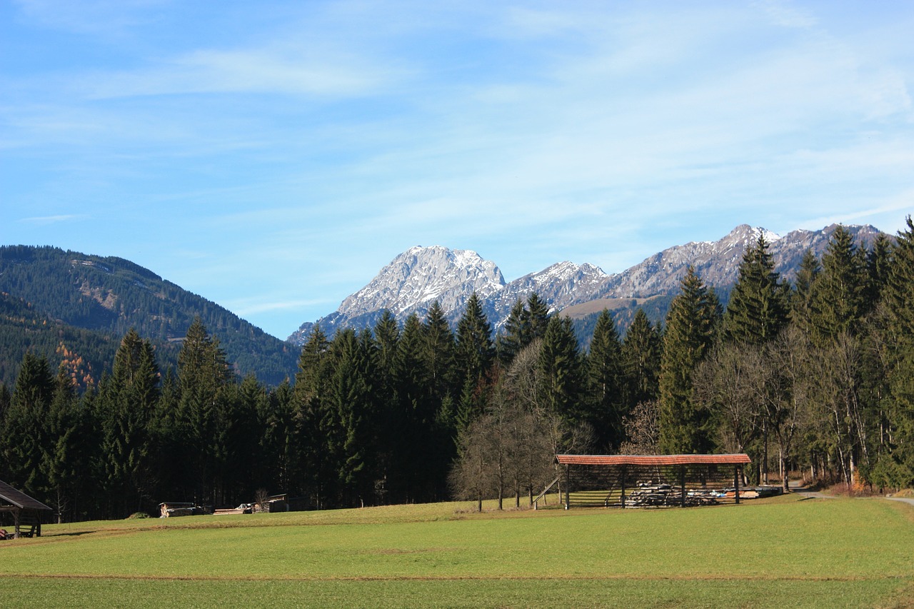 Austria, Kraštovaizdis, Kalnai, Miškas, Medžiai, Miškai, Slėnis, Gamta, Lauke, Vasara