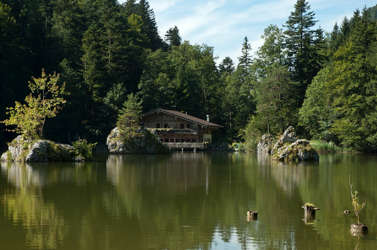 Austria, Miškas, Medžiai, Miškai, Dangus, Debesys, Namas, Namai, Vaizdingas, Ežeras