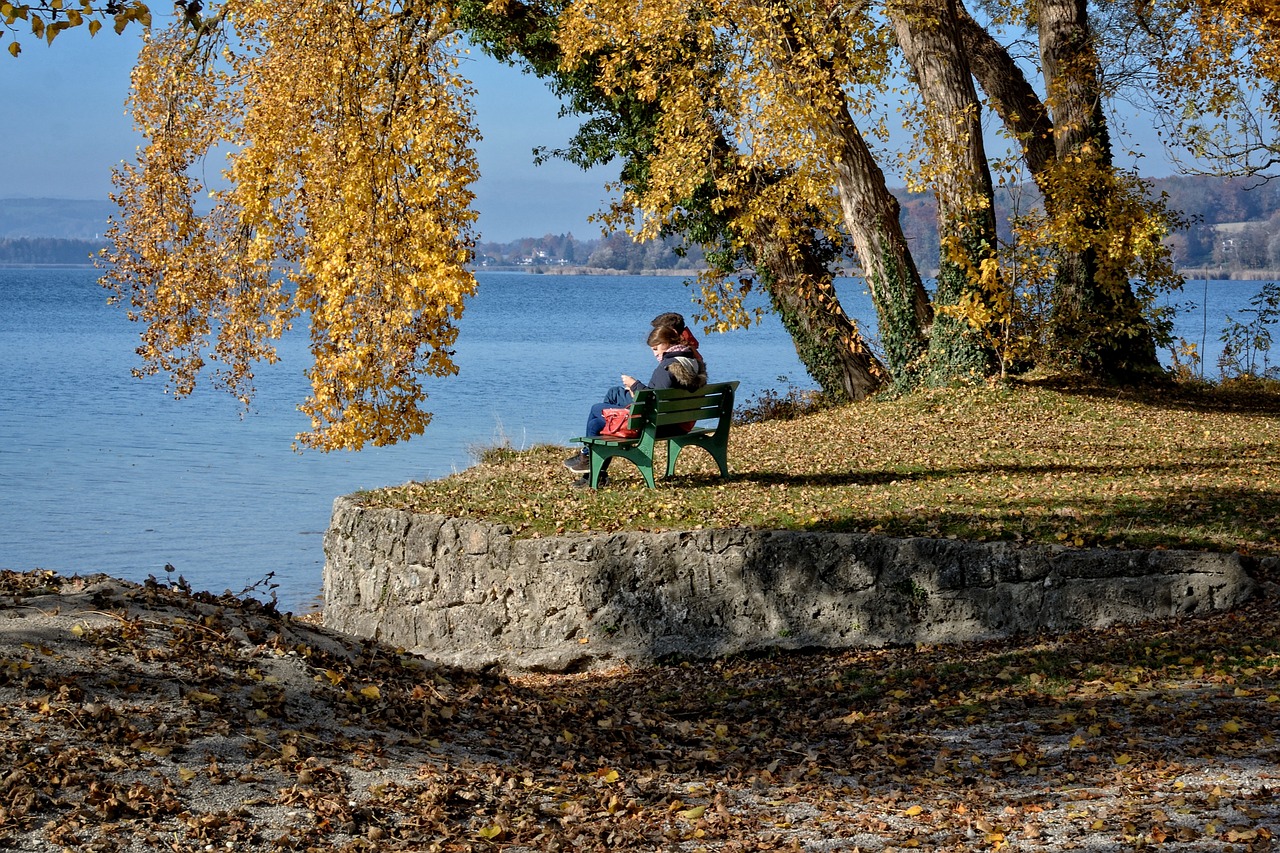 Ruduo, Medis, Aukso Ruduo, Lapai, Rudenį Medis, Nuotaika, Stendas, Žmogus, Pora, Kraštovaizdis