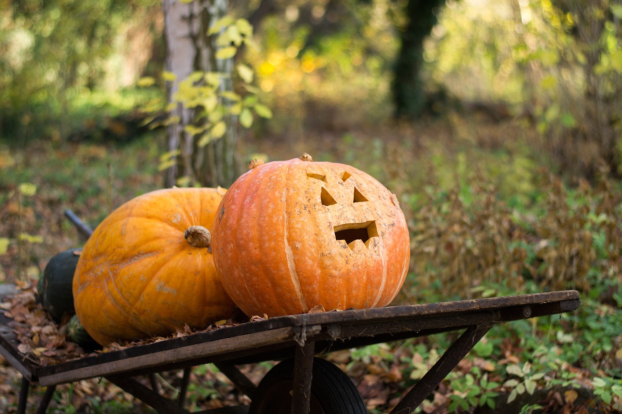 Ruduo, Halloween, Gamta, Moliūgas, Oranžinė, Sodas, Lapai, Spalvinga, Nemokamos Nuotraukos,  Nemokama Licenzija