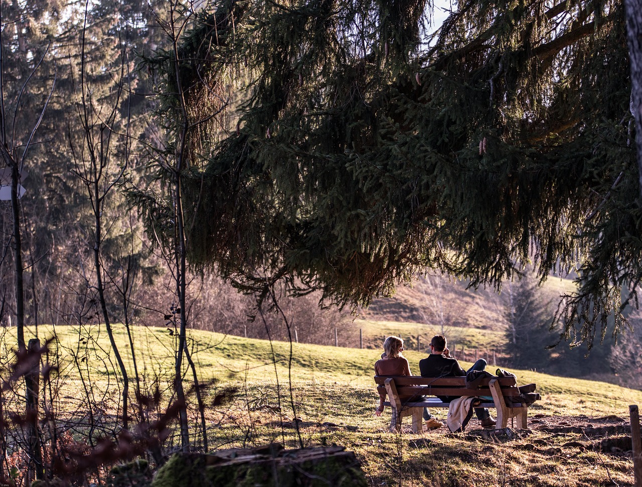 Ruduo, Allgäu, Poilsis, Atsipalaidavimas, Vienatvė, Kalėdų Eglutė, Allgäu Alpės, Šešėlis, Medžiai, Nemokamos Nuotraukos