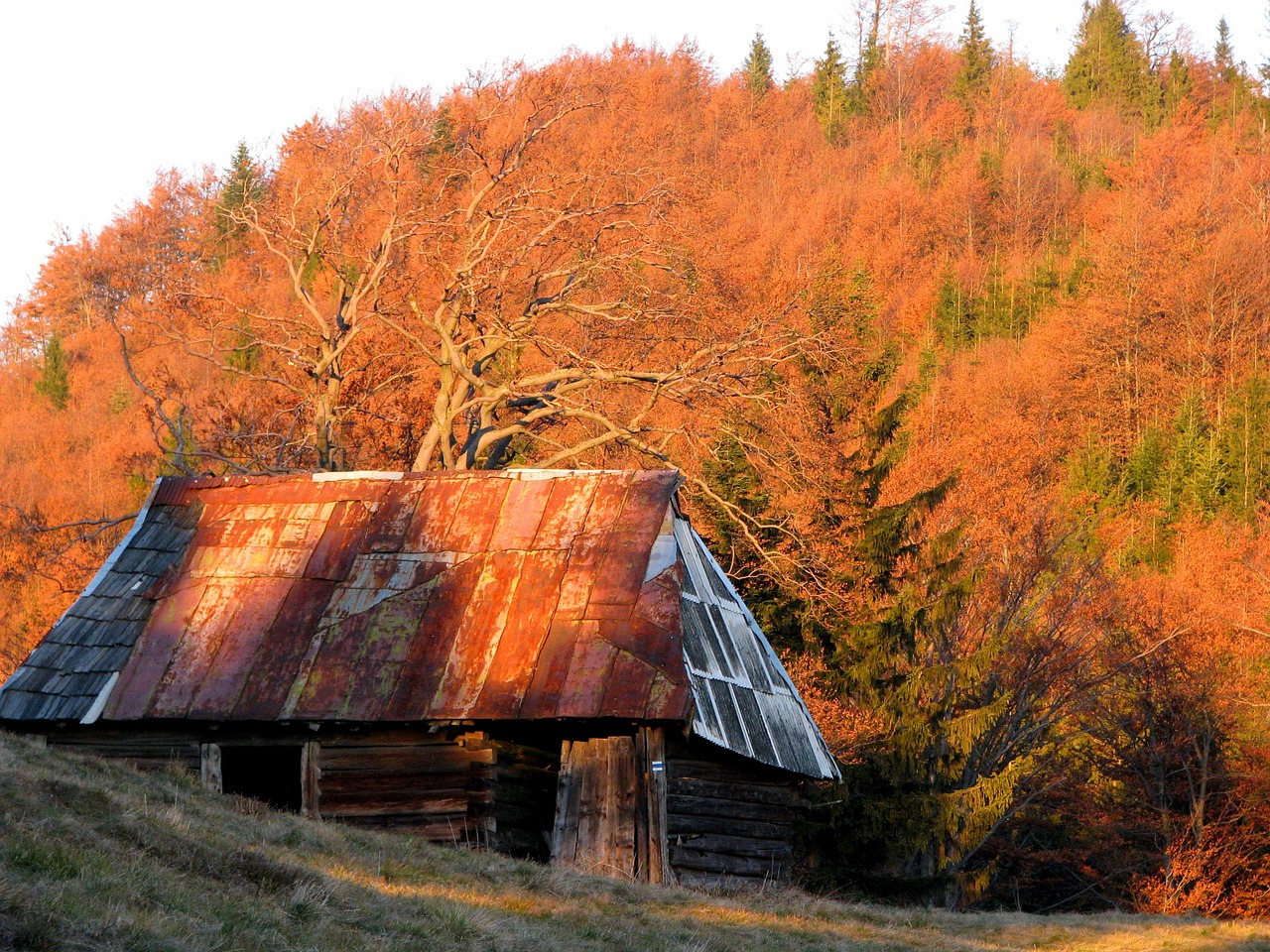 Ruduo, Kalnai, Namelis, Piemenų Namelis, Shed, Stogas, Miškas, Medis, Žygių Takas, Rūdys