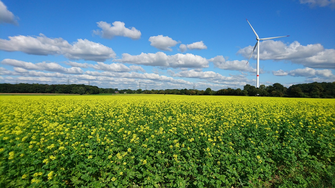 Ruduo, Laukas, Ariamasis, Rapsų Žiedas, Laukai, Žemdirbystė, Pinwheel, Regeneracinė Energija, Geltona Gėlė, Nemokamos Nuotraukos