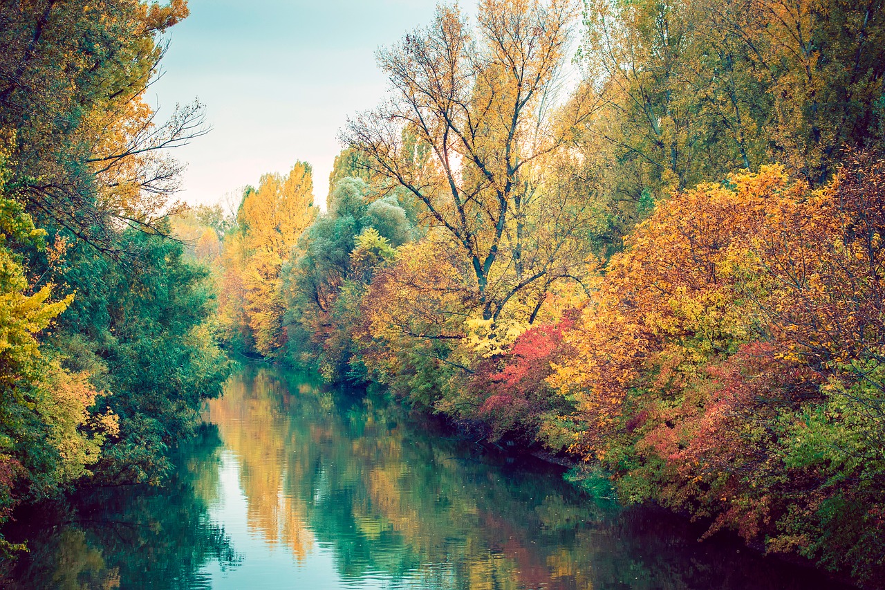 Ruduo, Žalias, Miškas, Parkas, Nemokamos Nuotraukos,  Nemokama Licenzija