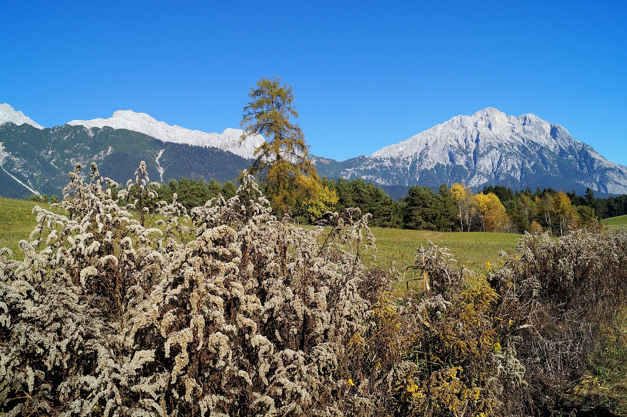 Ruduo, Mėlynas Dangus, Medis, Lapai, Kontrastas, Dangaus Mėlynumo, Kraštovaizdis, Spinduliai, Kritimo Lapija, Daugiau