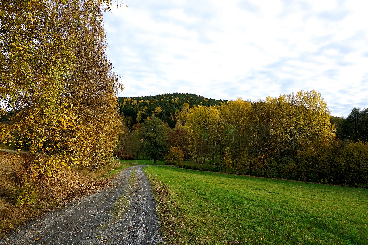 Ruduo, Lapai, Kritimo Spalva, Gamta, Nemokamos Nuotraukos,  Nemokama Licenzija