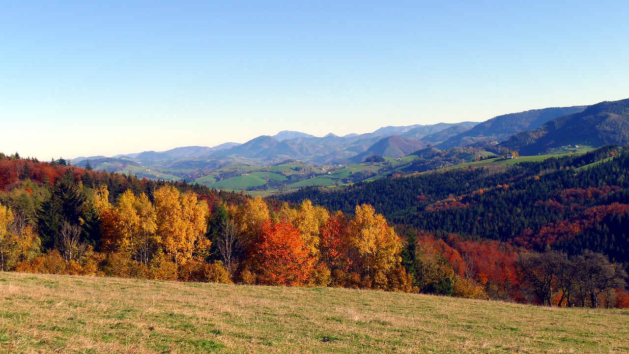 Ruduo, Rudens Nuotaika, Rudens Miškas, Atsiras, Kritimo Spalva, Aukso Ruduo, Kraštovaizdis, Gamta, Miškas, Nemokamos Nuotraukos