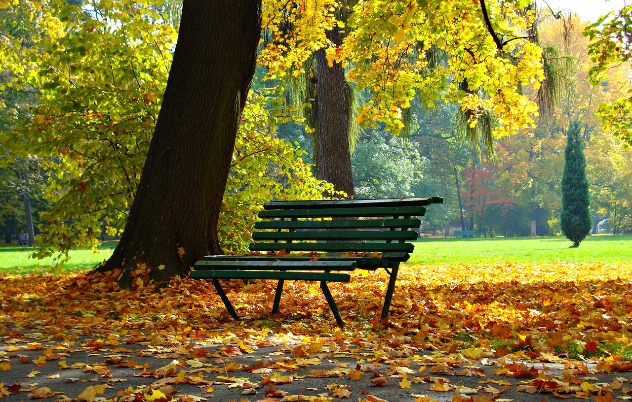 Ruduo, Parkas, Lapija, Rudens Auksas, Kraštovaizdis, Vaizdingai, Žlugti, Stendas, Gamta, Grožis