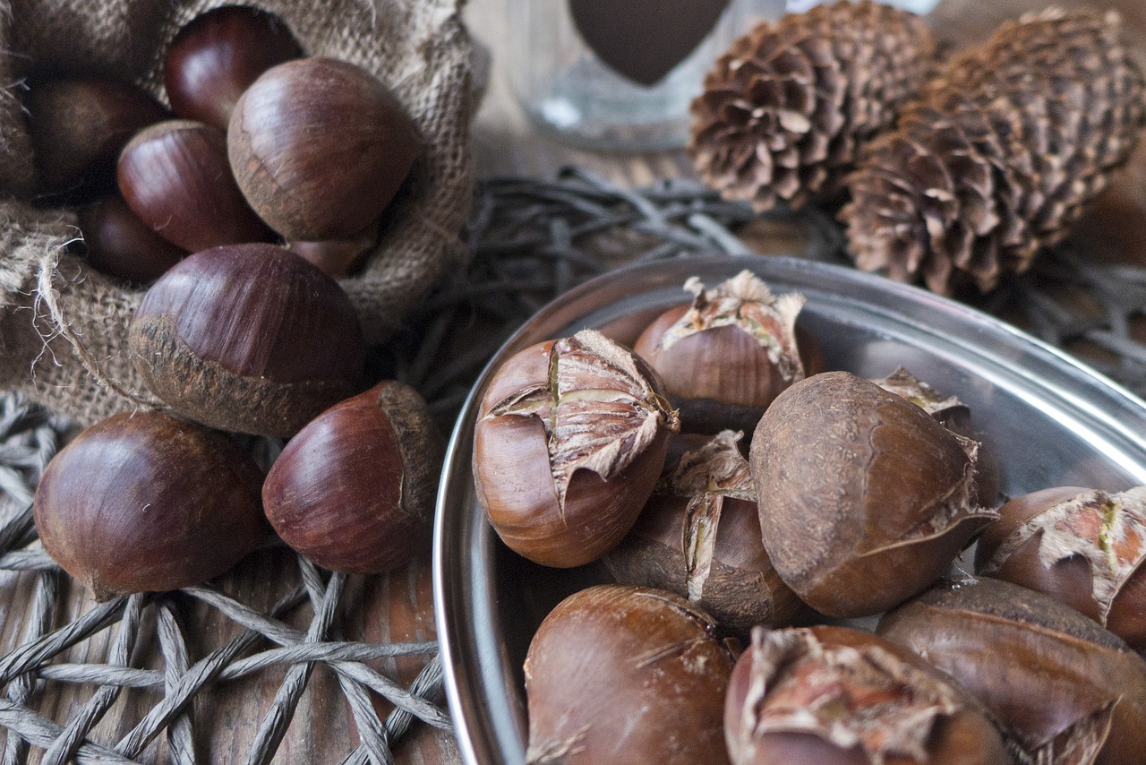 Ruduo, Kaštainiai, Castanea, Pietų Stalas, Maišas, Patiekalas, Užkandis, Delikatesas, Spurgai, Nemokamos Nuotraukos