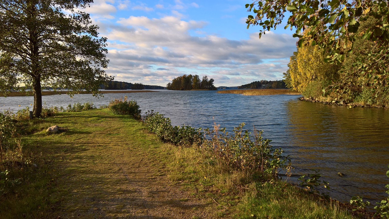 Ruduo, Ežeras, Papludimys, Vanduo, Suomių, Gamta, Medis, Ežero Vanduo, Medžiai, Įlanka